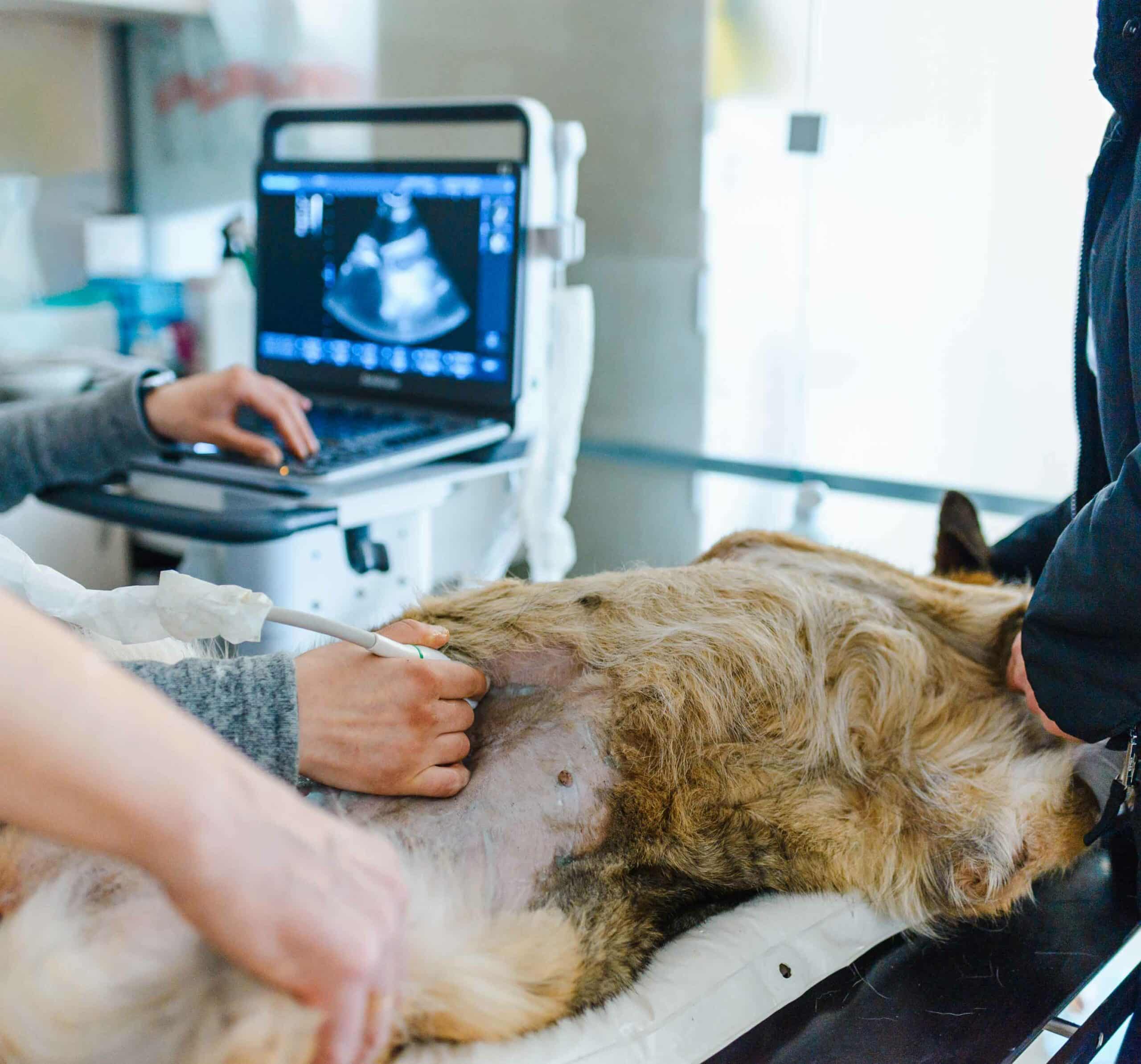 Advanced Diagnostics Photo