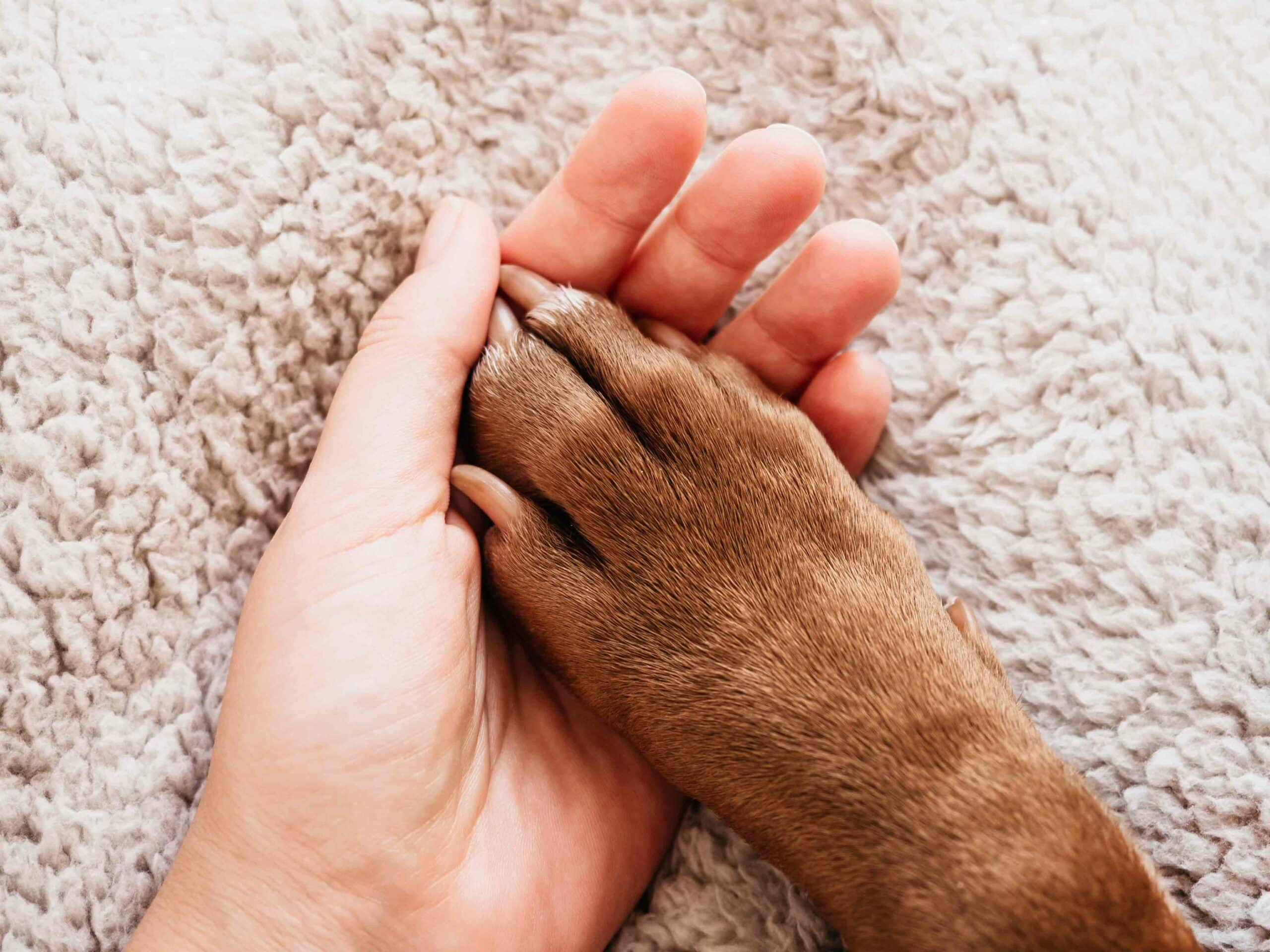 End-of-Life Care